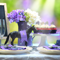 Kentucky Derby CASA Party for a Purpose